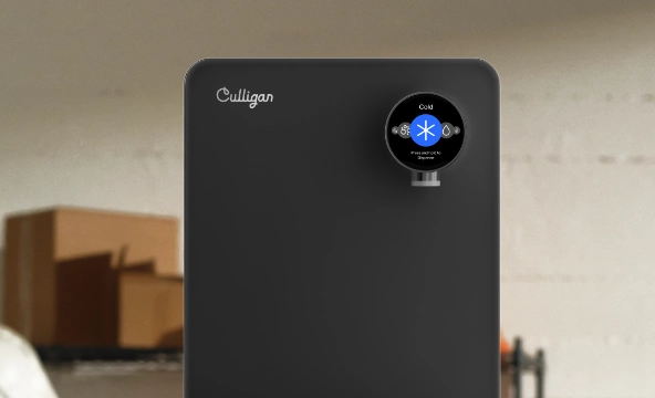 Reasons purity prime black fs 4