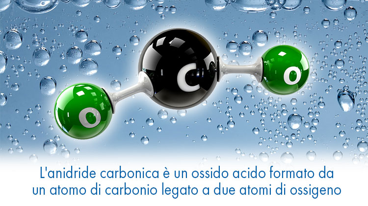 anidride carbonica co2