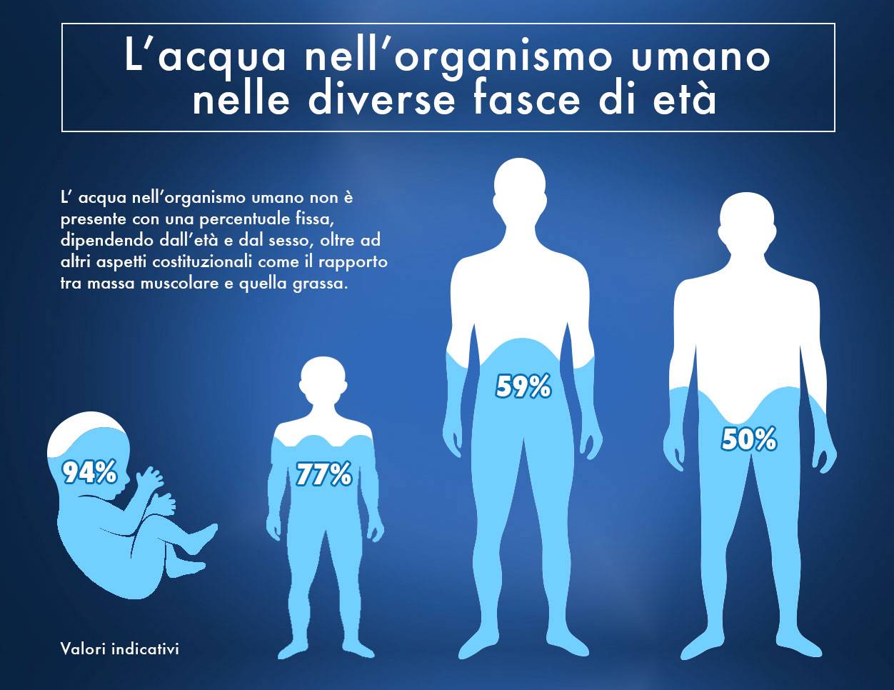 acqua nel corpo imano diverse età