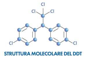 struttura molecolare ddt