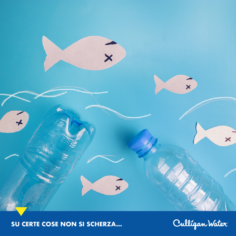 pesci acqua plastica