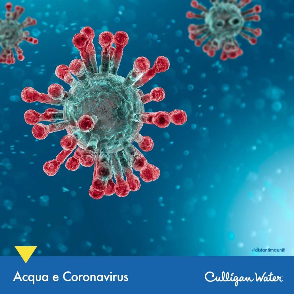 acqua coronavirus covid19