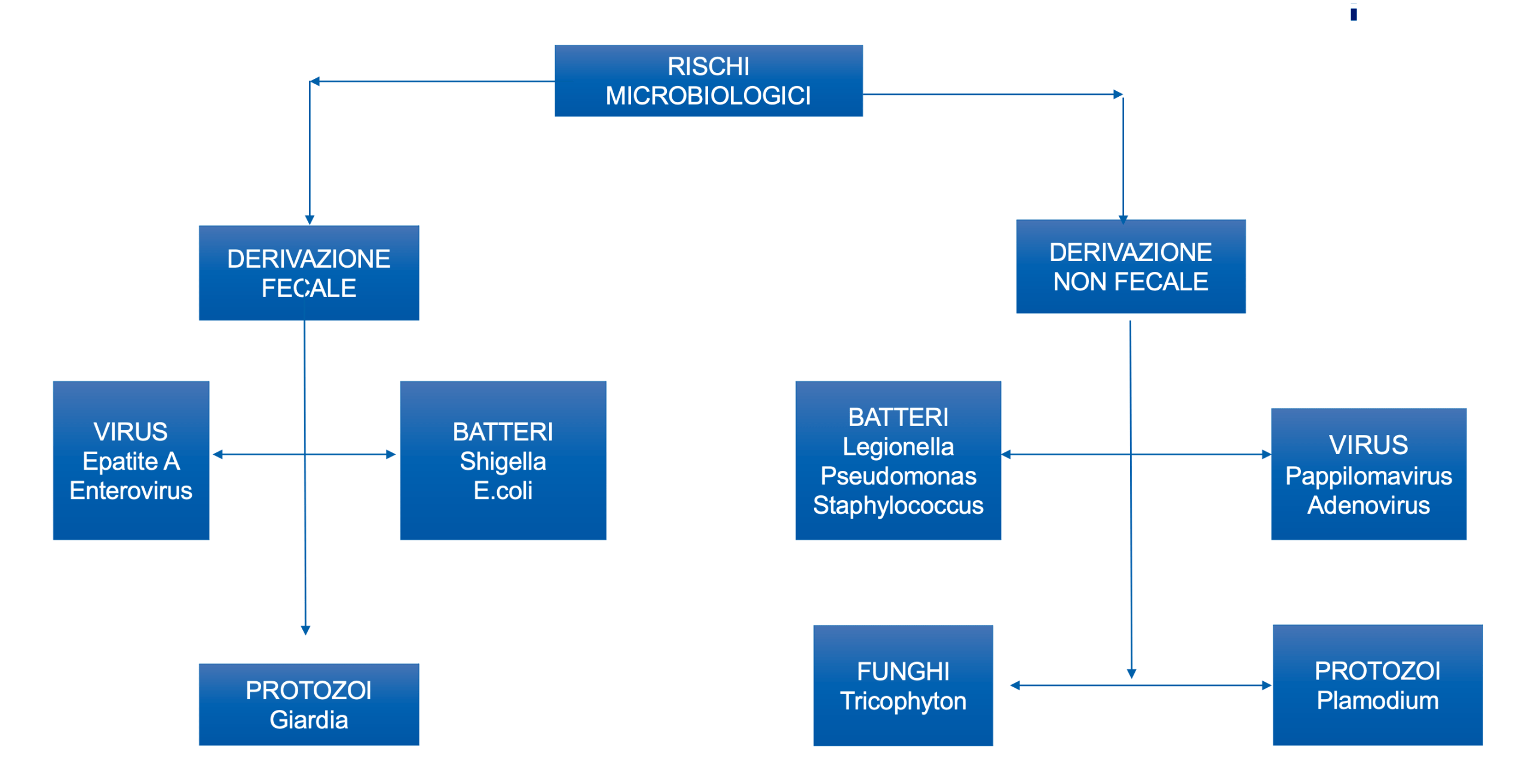 rischio_microbiologico_acqua_di_piscina_contaminata