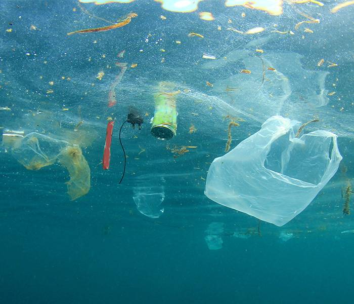 Il rapporto degli italiani con l'acqua e la plastica