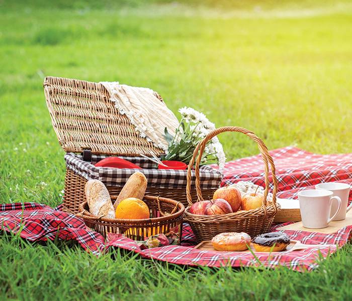 picnic