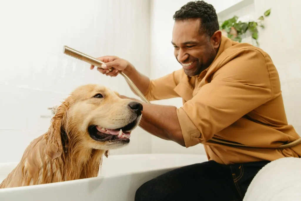 acqua migliore per gli animali domestici