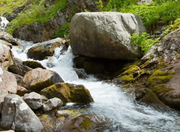 L'acqua è un bene prezioso