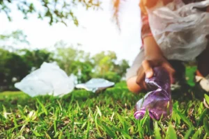 grandi eventi sostenibili