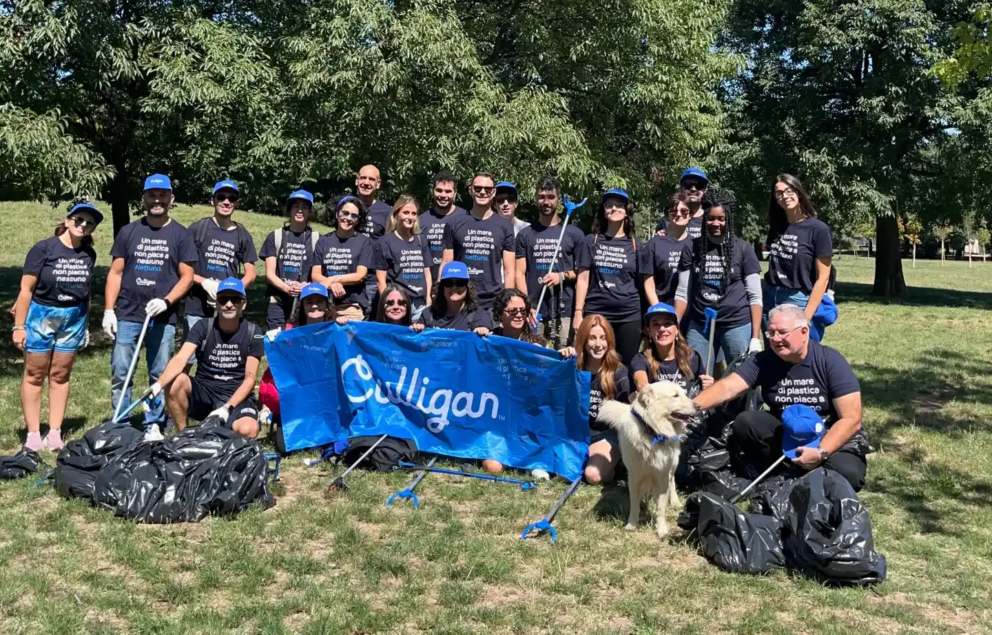 raccolta plastica culligan
